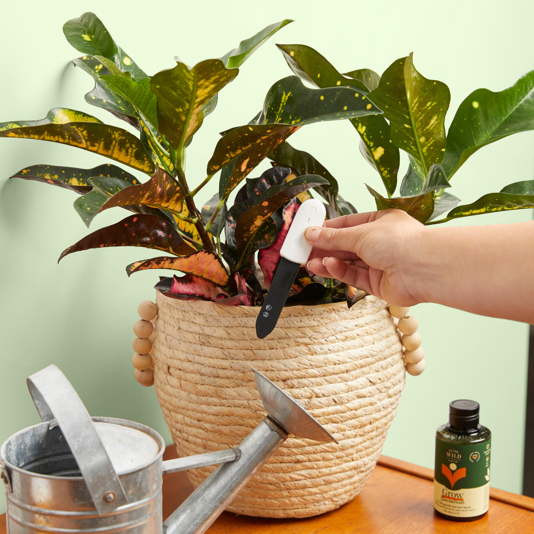 Soil Moisture Meter For Houseplants