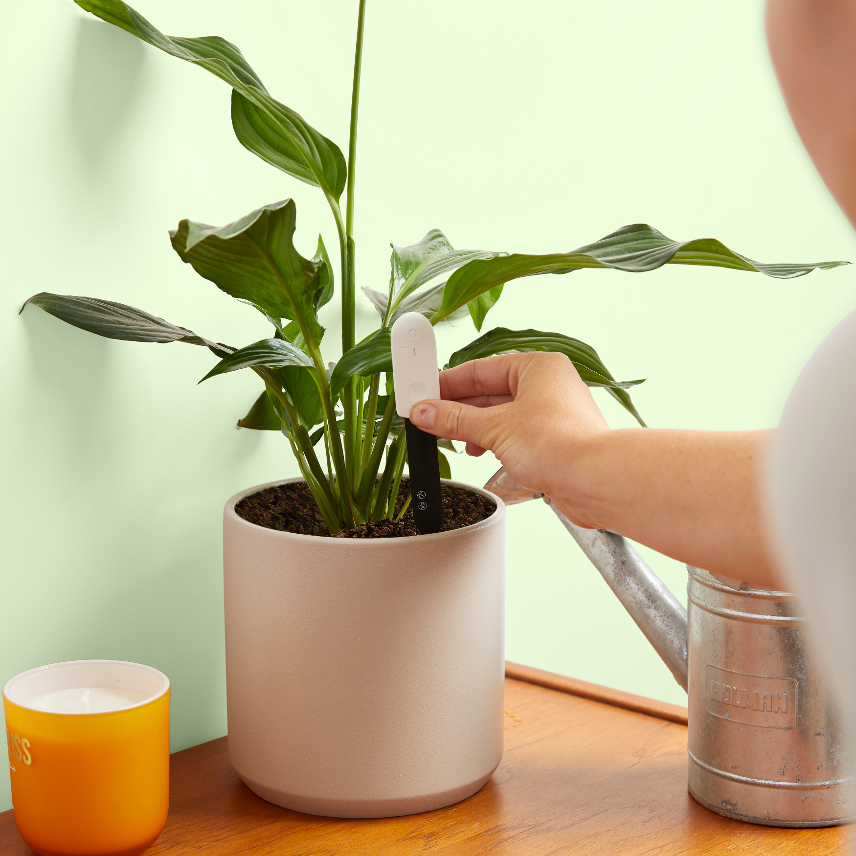 Soil Moisture Meter For Houseplants