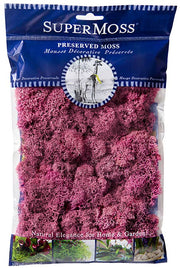 Reindeer Moss Preserved 2oz bags – DUSTY ROSE
