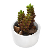 SALE Plant Bundle Planters Clearance White Gray Planter Pots