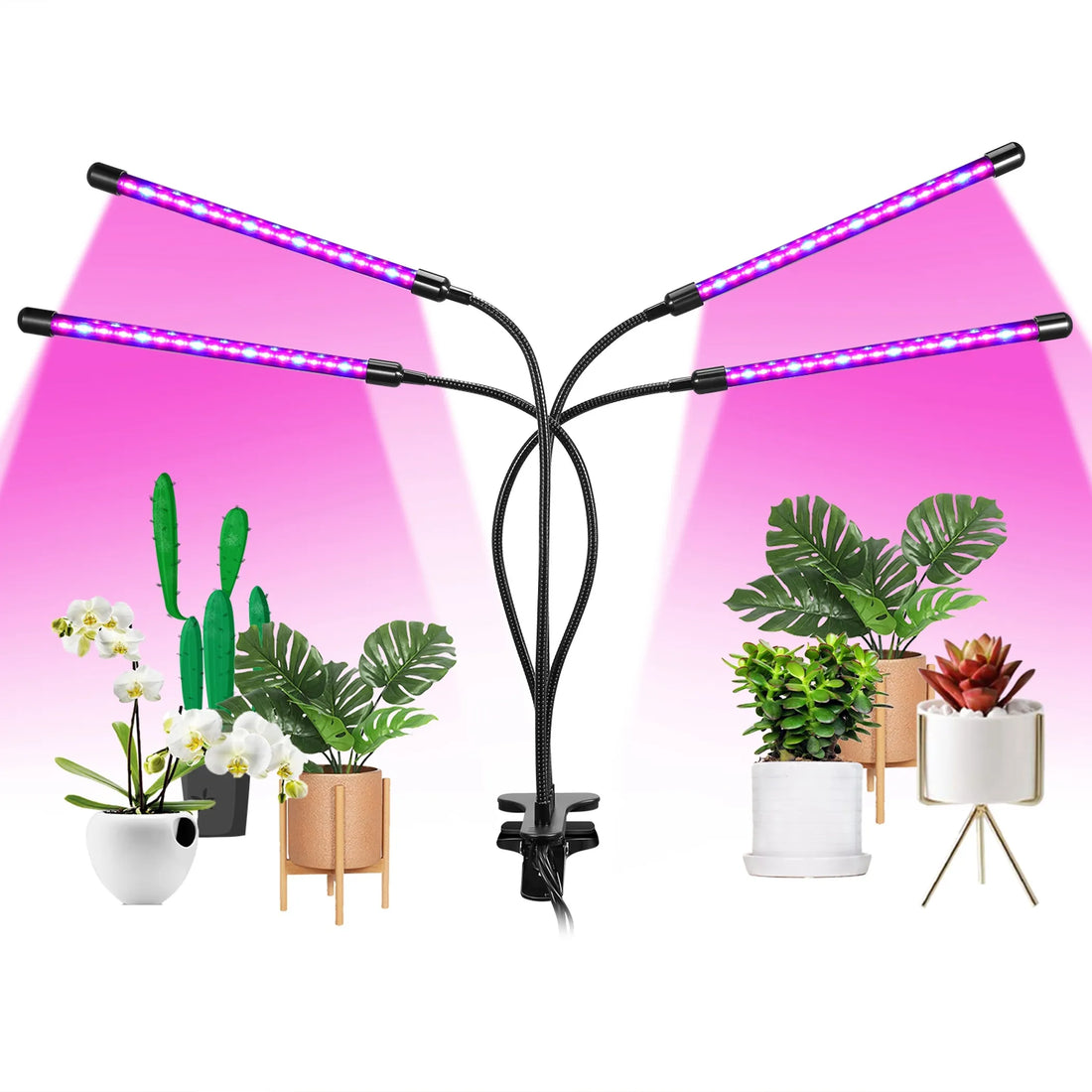 Grow Lights for Indoor Plants