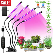 Grow Lights for Indoor Plants