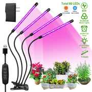 Grow Lights for Indoor Plants