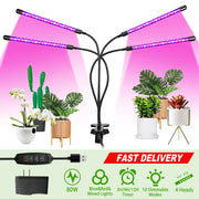 Grow Lights for Indoor Plants