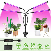 Grow Lights for Indoor Plants