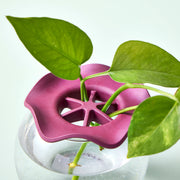 Botanical Keepers – Set of 2