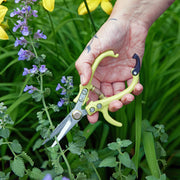 Garden Shears – Chartreuse