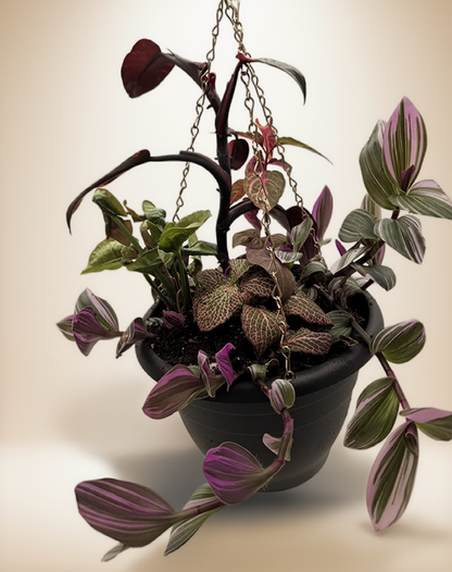 FloraVines Pink Splash Arrangement