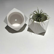 SALE Plant Bundle Planters Clearance White Gray Planter Pots