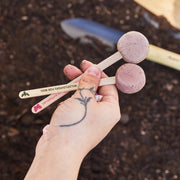 Garden Seed Pops - Organic Seeds