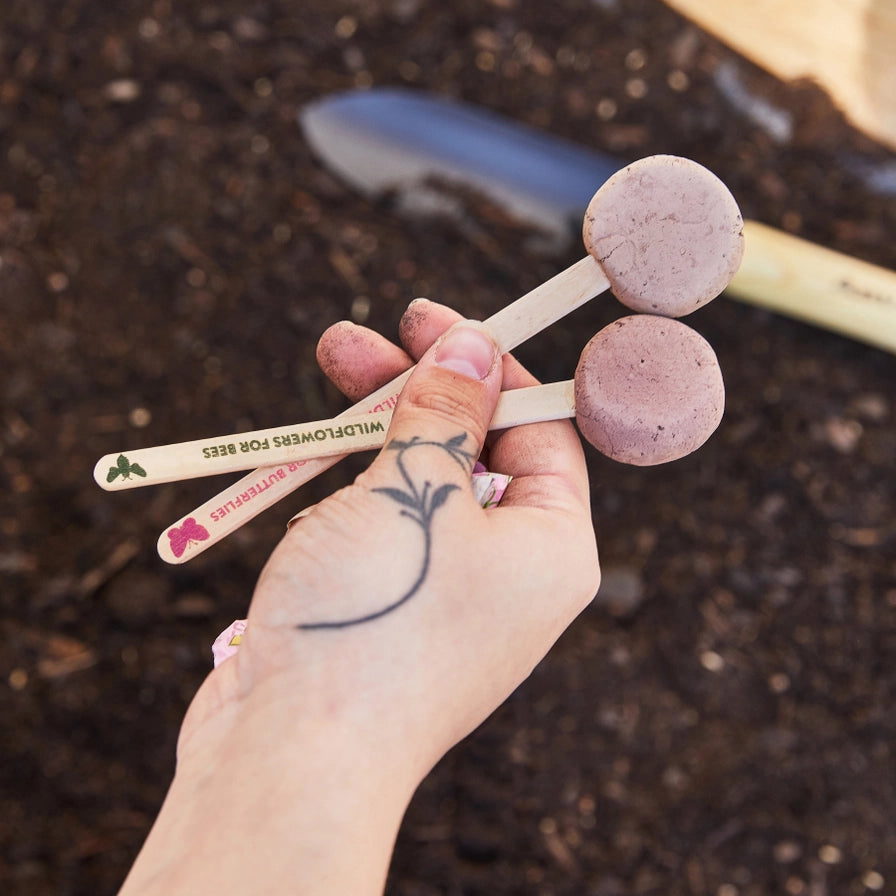 Garden Seed Pops - Organic Seeds