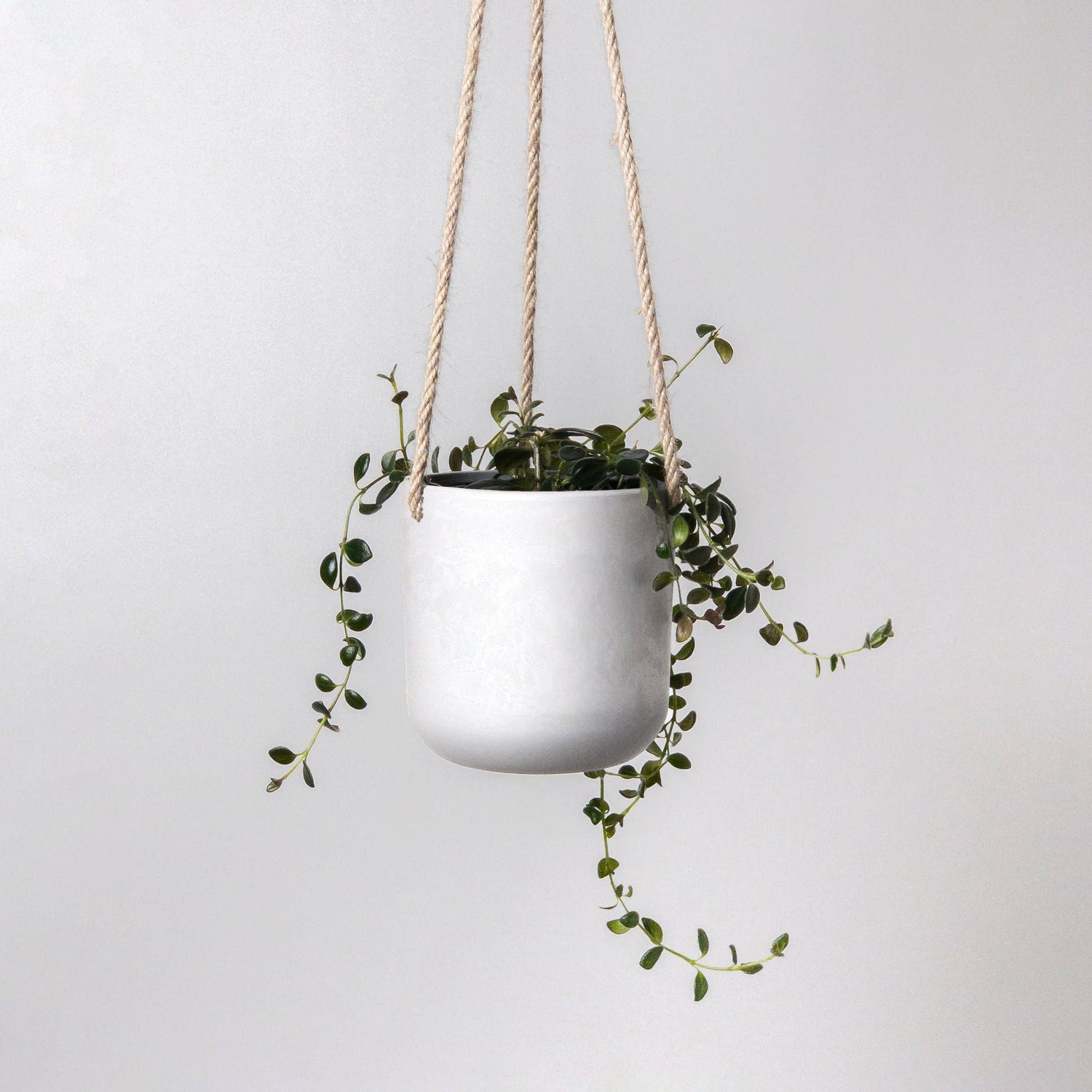 4" Signature Stone Hanging Planter Pot
