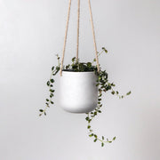 4" Signature Stone Hanging Planter Pot