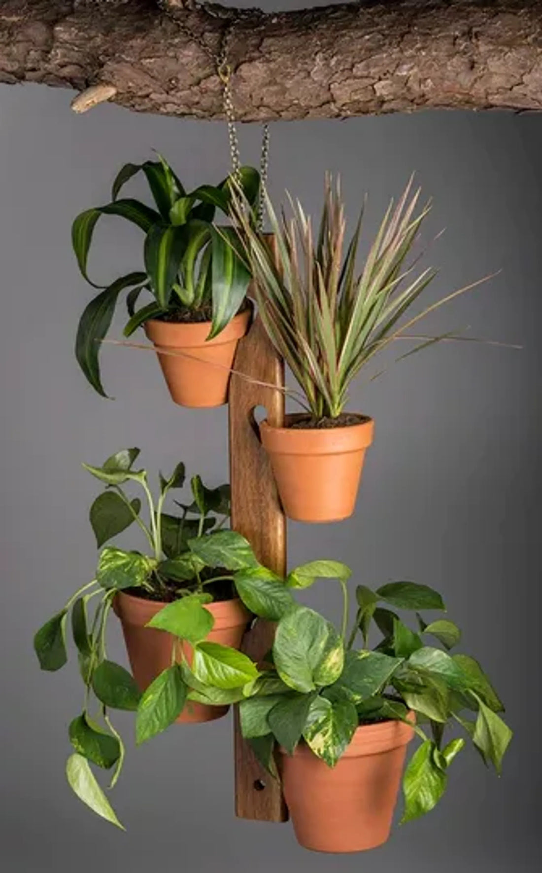 4 Pot Hanging Plant Holder – 1