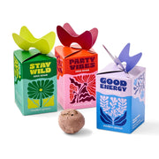 Seed Bomb - Wildflower & Herb Seed Ball – Stay Wild