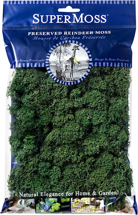 Reindeer Moss Preserved 2oz bags – FOREST