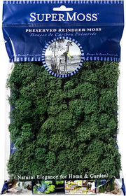 Reindeer Moss Preserved 2oz bags – FOREST