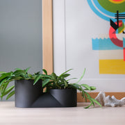 Double Planter