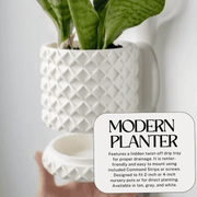 Bubble Lattice Wall Planter | 4" Diameter Modern Wall Planter Pot | Made in USA