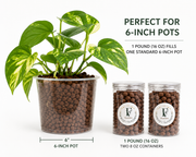 LECA Clay Pebbles for Plants – 1 lb, Two 8 oz Containers