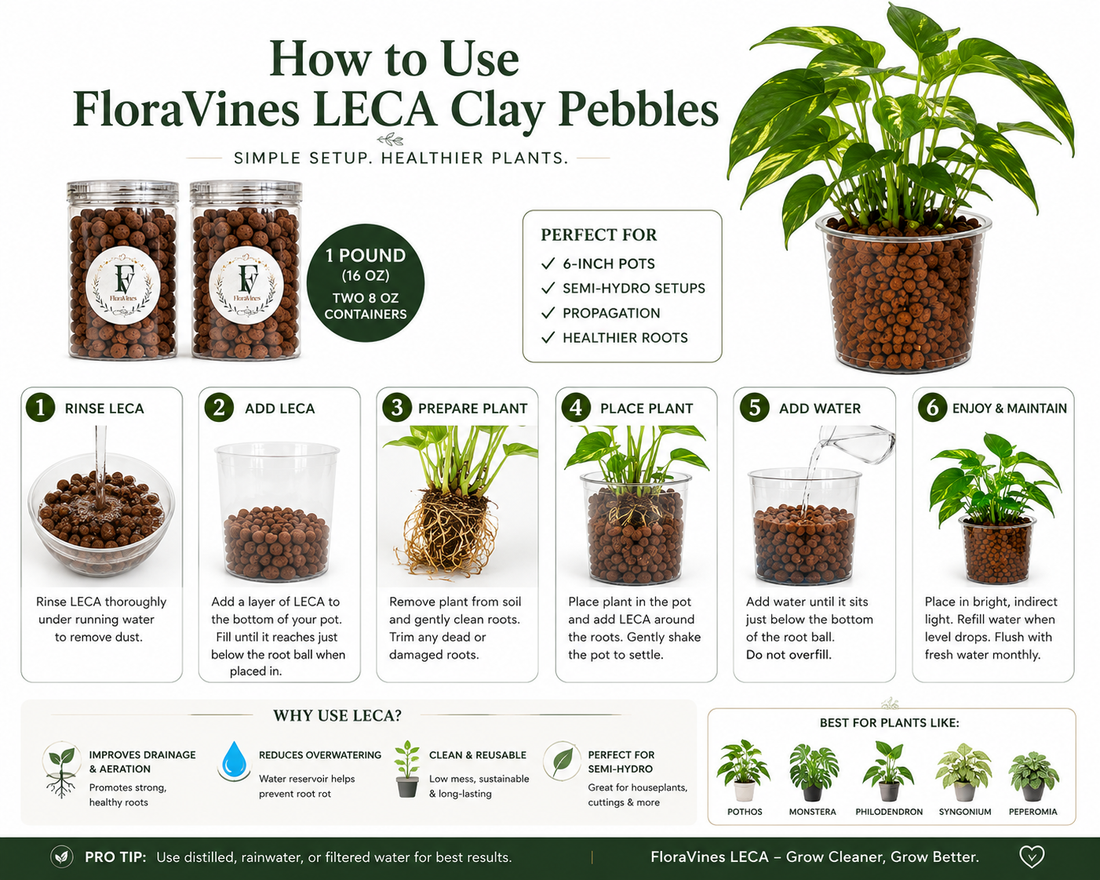 LECA Clay Pebbles for Plants – 1 lb, Two 8 oz Containers