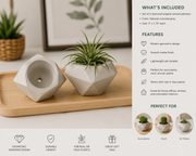 Diamond Cement Planter - Single Piece (2" x 1.75")
