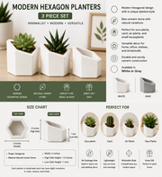 Hexagonal Cement Planter – gray / 3 - pack