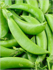 Sugar Snap Pea Seeds