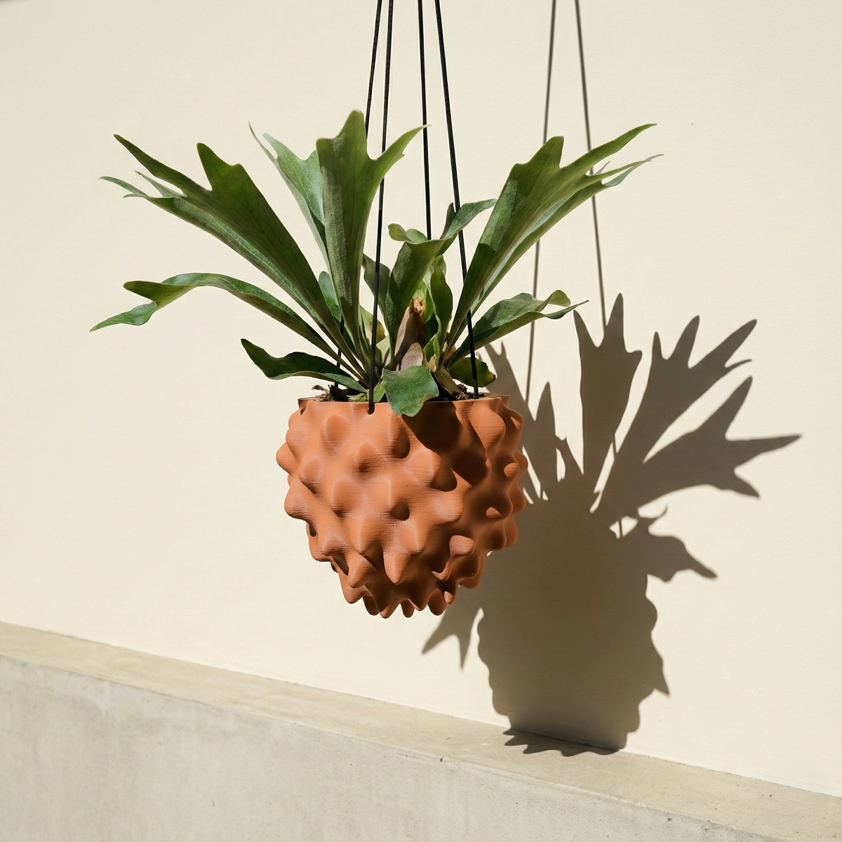 The Creature Orb Hanging Planter Pot With Drainage