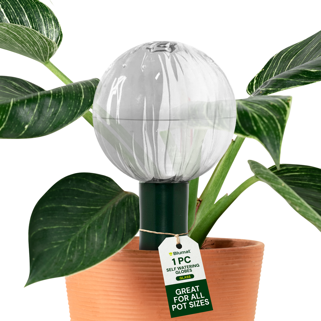 Blumat Glass Plant Self Watering Globes