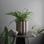 Wrap Planter - 4 sizes