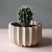 Wrap Planter - 4 sizes
