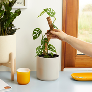 Coconut Coir Bendable Grow Pole – 16 Inch