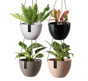 8" Signature Stone Hanging Planter Pot – 8" White Stone Hanging Planter