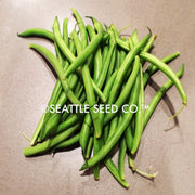 Blue Lake FM-1 Pole Bean Seeds