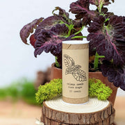 Black Dragon Coleus Seeds