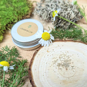 Chamomile Seeds