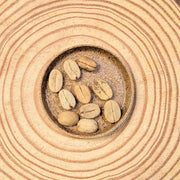 Coffea 'Coffee Plant' Seeds