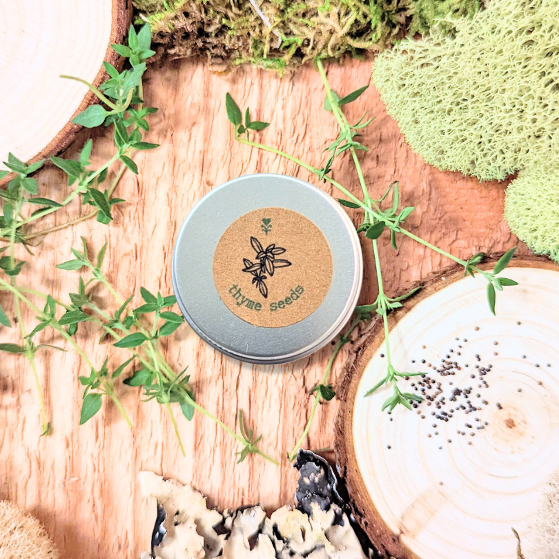 Organic Thyme Seeds