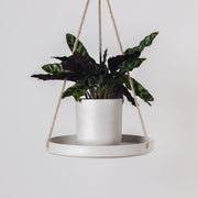 10" Signature Stone Hanging Tray