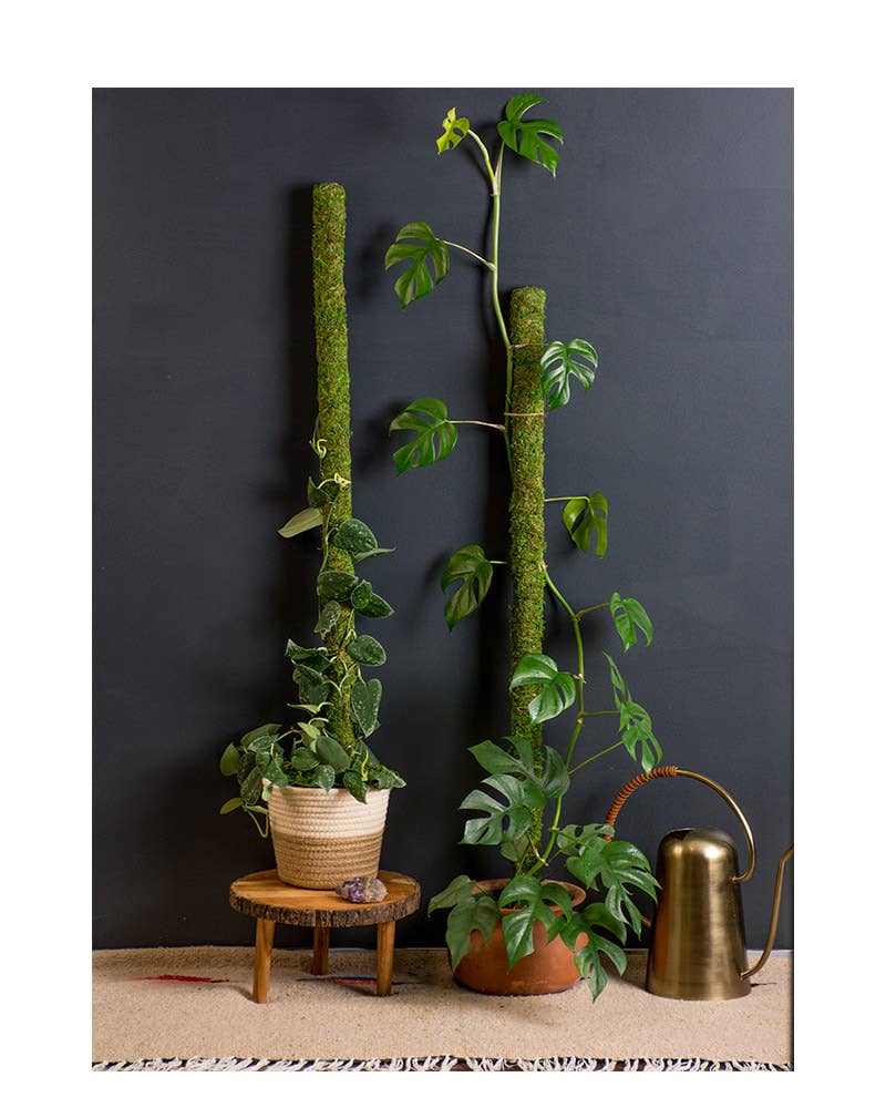 SuperMoss Moss Poles