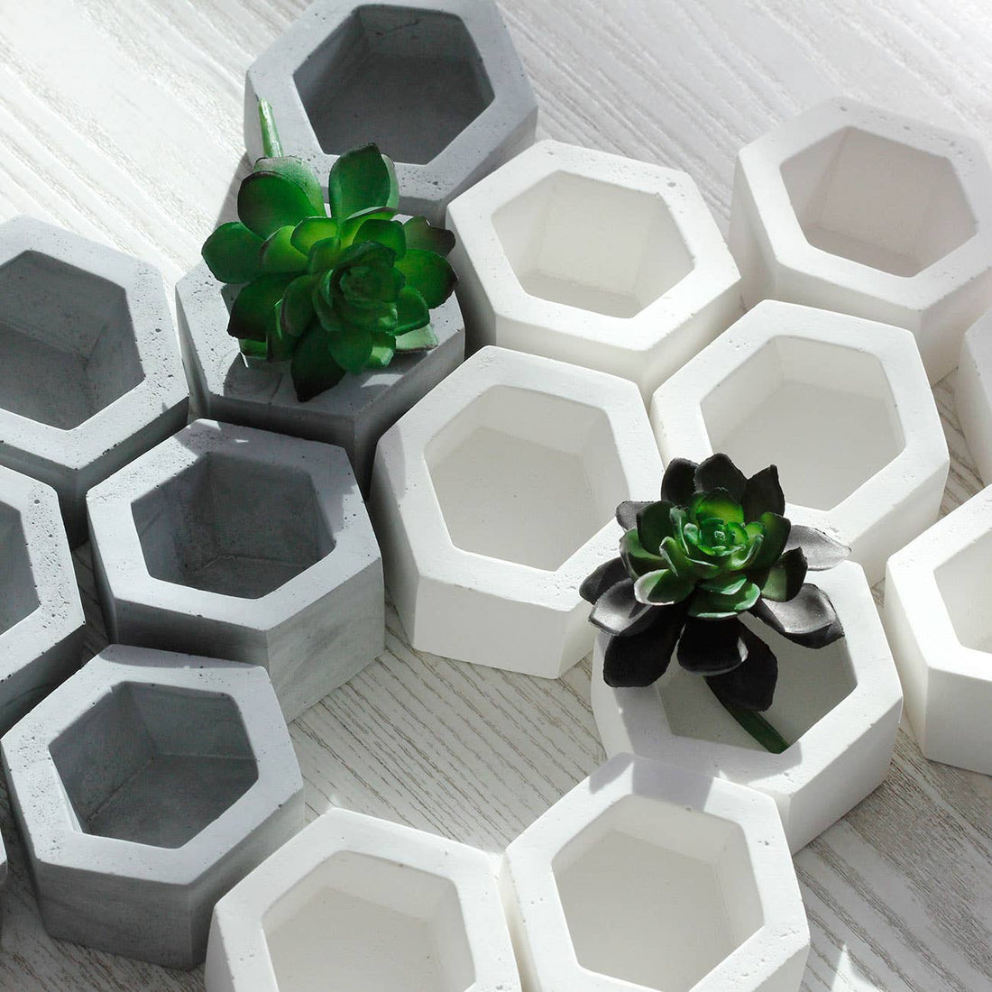 Hexagonal Cement Planter