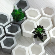 SALE Plant Bundle Planters Clearance White Gray Planter Pots