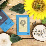 Dwarf Sunflower Beginner Grow Kit