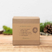 Dwarf Sunflower Beginner Grow Kit