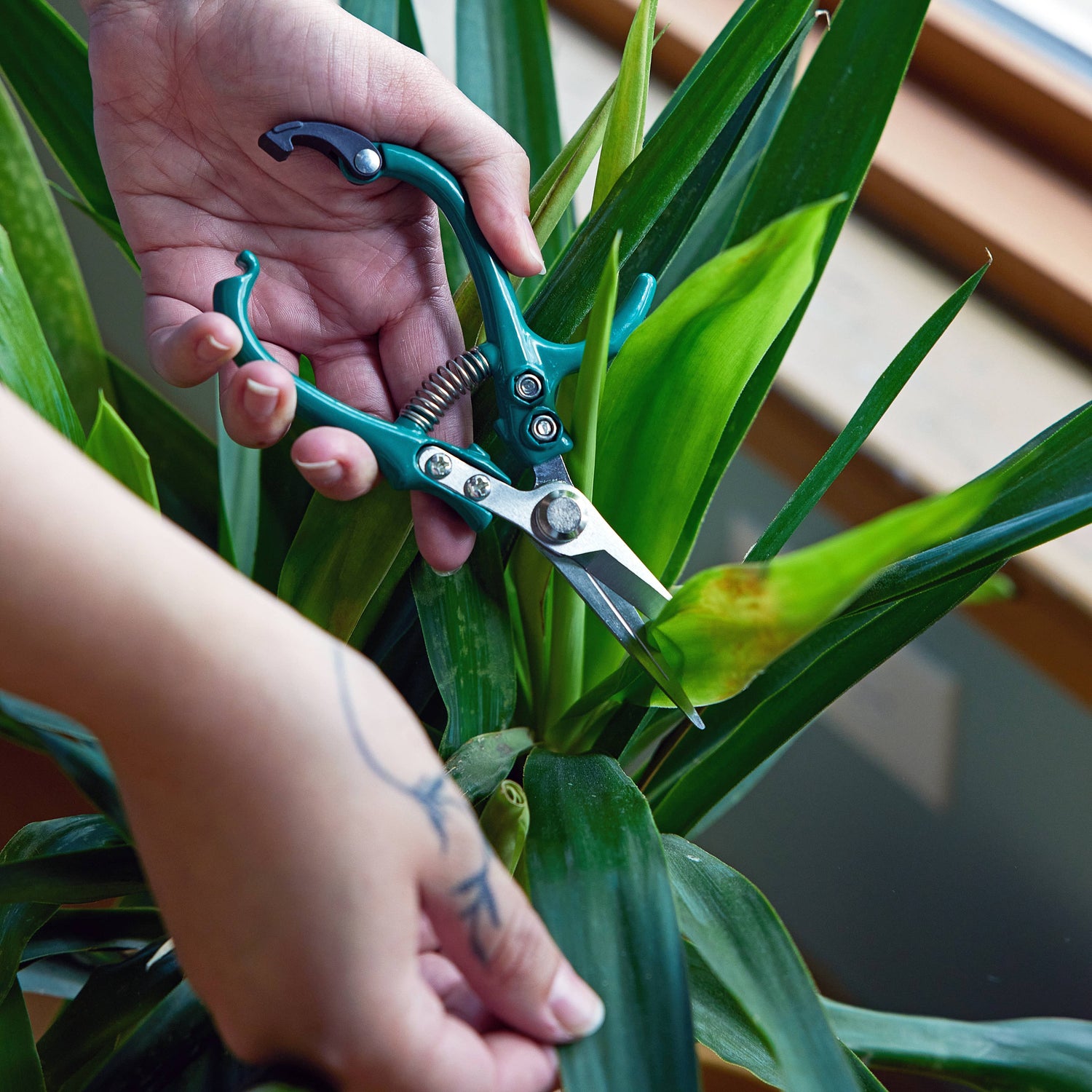 Garden Shears