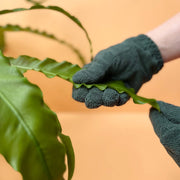 Microfiber Leaf Cleaning Gloves – Green