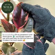 Microfiber Leaf Cleaning Gloves – Green