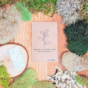 Eucalyptus Polyanthemos 'Silver Plate' Seeds