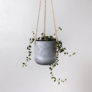 4" Signature Stone Hanging Planter Pot